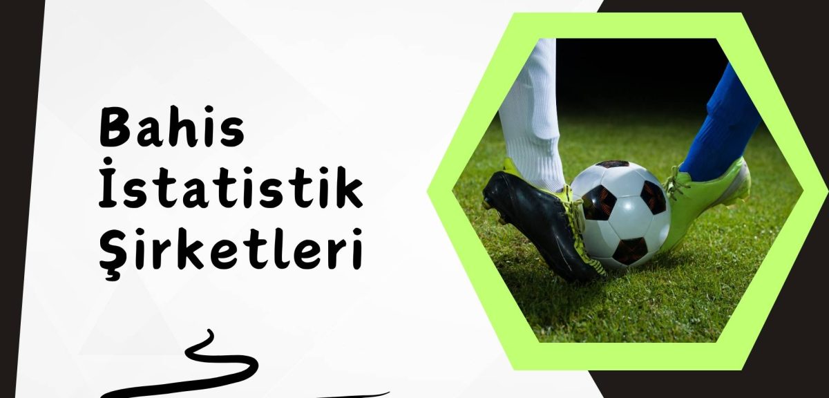 Türkiye Özel Bahis istatistik Şirketleri Dijital Haritası